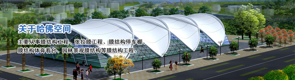PTFE永久性室內和室外的膜結構工程